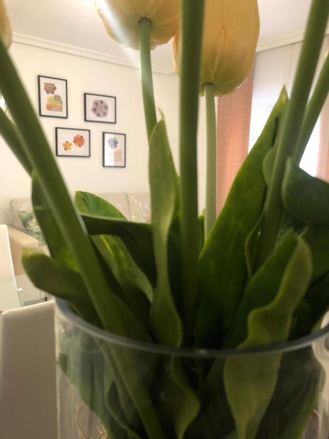 Appartement Casa Palacio Polentinos Vut-av390 *